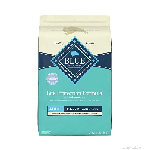 Expert Guide: Feeding Dogs with Sensitive Stomachs for Optimal Health