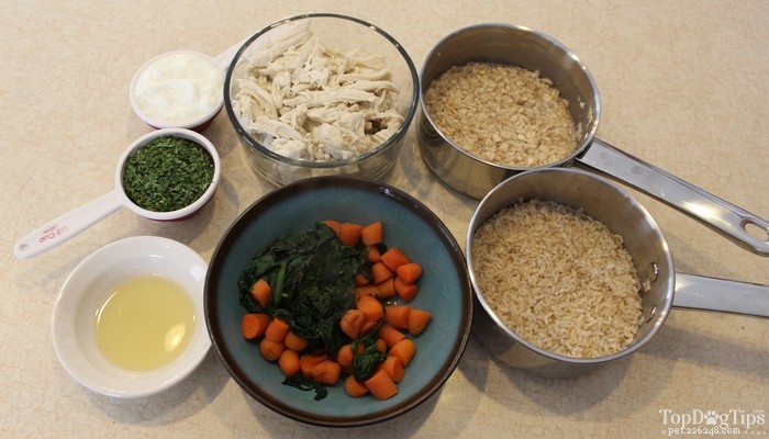 Expert Guide: Feeding Dogs with Sensitive Stomachs for Optimal Health