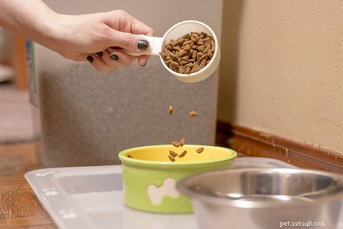 Mastering Dog Food Labels: A Guide to Accurate Reading