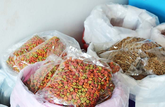 Pet Food Manufacturing: Comparing USA, Canada, Europe, and China Regulations