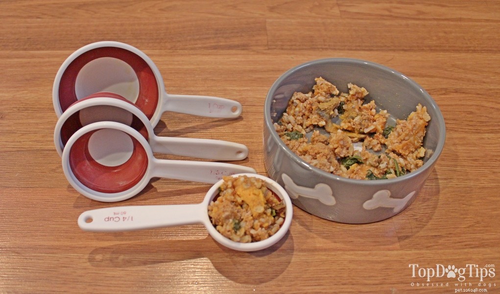 How Much to Feed Your Dog: Expert Guide for Accurate Portions