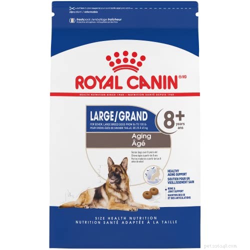 Ask a Vet: The Top Dog Foods for Managing Arthritis