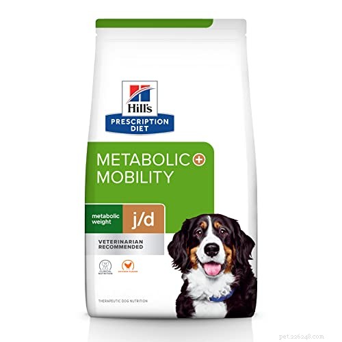 Ask a Vet: The Top Dog Foods for Managing Arthritis