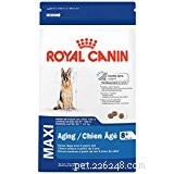 Ask a Vet: The Top Dog Foods for Managing Arthritis