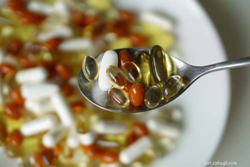Top 7 Pet Food Toxins Behind Most Dog Food Recalls – A Scientific Analysis