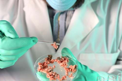 Top 7 Pet Food Toxins Behind Most Dog Food Recalls – A Scientific Analysis