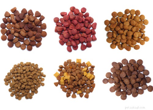 4 Key Reasons Veterinarians Endorse Homemade Dog Food