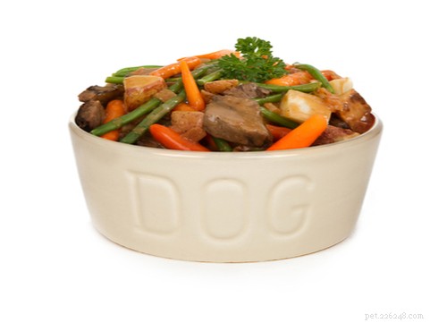 4 Key Reasons Veterinarians Endorse Homemade Dog Food