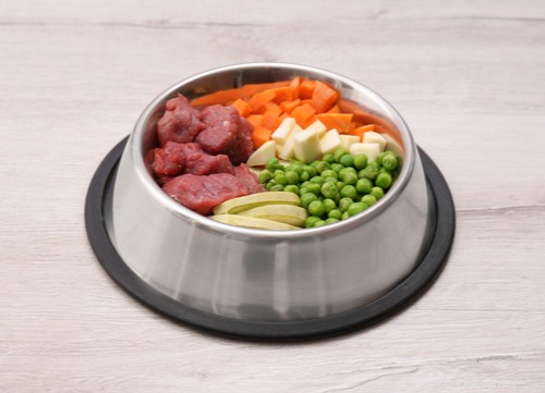 4 Key Reasons Veterinarians Endorse Homemade Dog Food