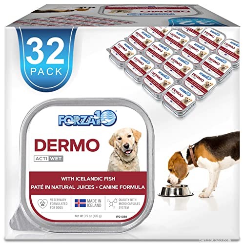 Nourishing Your Dog’s Sensitive Skin: A Comprehensive Feeding Guide
