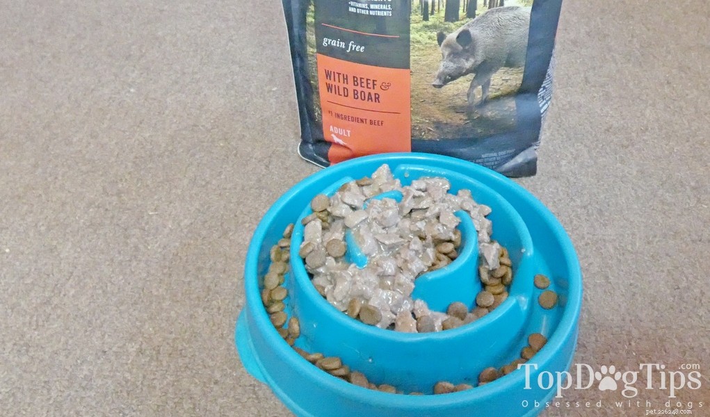 Expert Guide: Safely Switching Your Dog’s Food for Better Health