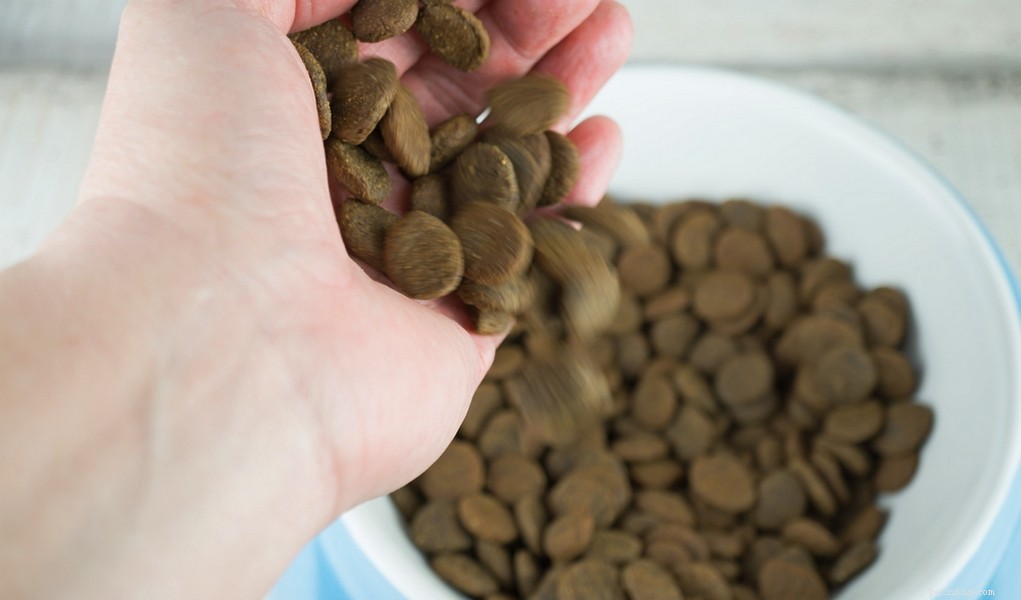 28 Expert Rules for Choosing the Best Dog Food