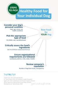 28 Expert Rules for Choosing the Best Dog Food