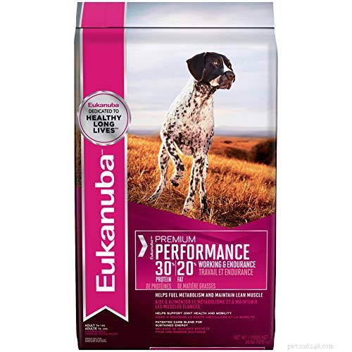 Effective Feeding Strategies for Underweight and Malnourished Dogs