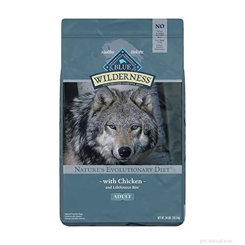 Nourishing a Pregnant Dog: Expert Feeding Guide
