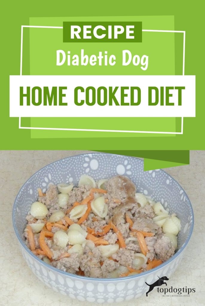 Homemade Diet for Diabetic Dogs: Expert-Approved Recipe