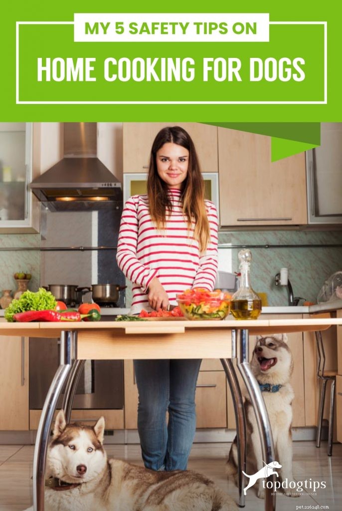 5 Expert Safety Tips for Cooking Homemade Meals for Your Dog