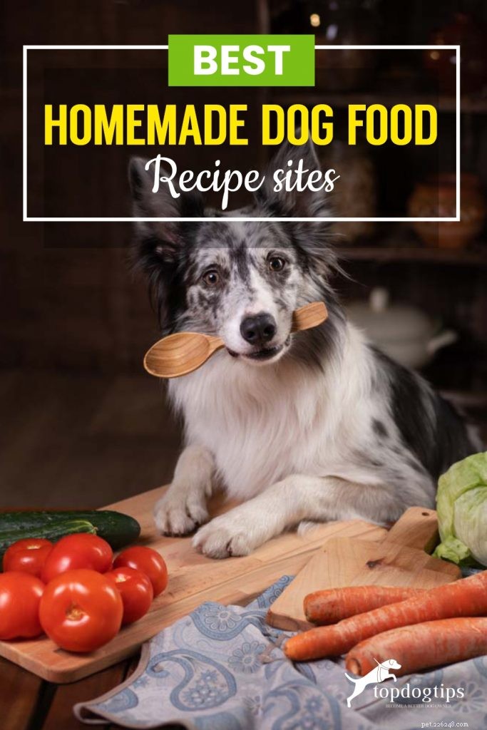 Top 15 Trusted Sites for Homemade Dog Food Recipes