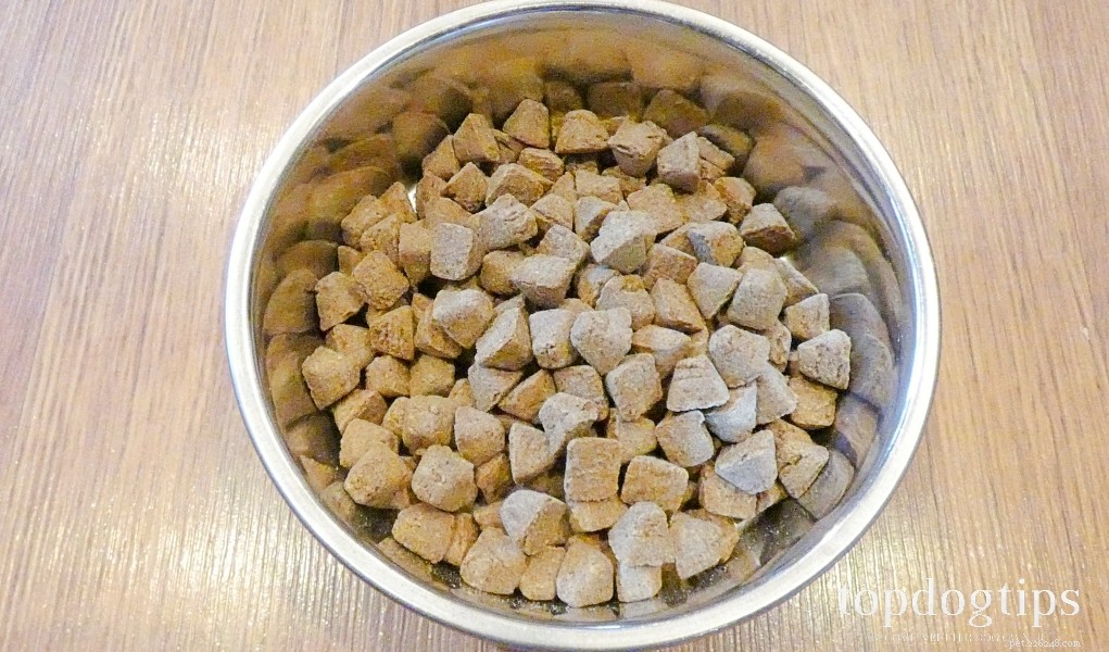 Jiminy’s Insect Protein Dog Food: A Sustainable Choice for Healthy Pups