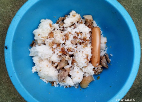 5 Essential Safety Rules for Homemade Dog Food