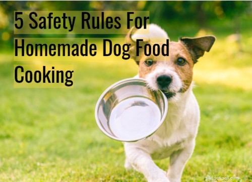 5 Essential Safety Rules for Homemade Dog Food