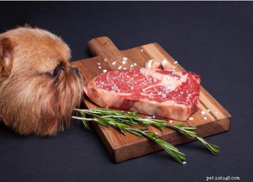5 Essential Safety Rules for Homemade Dog Food