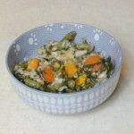 Homemade Slow Cooker Chicken, Rice & Veggie Dog Food – Easy, Nutritious & Time‑Saving