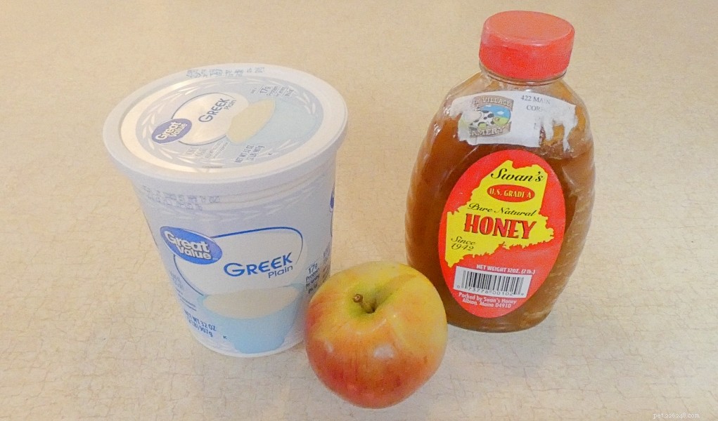 Healthy Apple & Honey Dog Ice Cream – A Safe, Homemade Treat