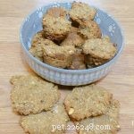 Homemade Peanut & Honey Dog Treats – Nutrient‑Rich & Xylitol‑Free