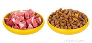 5 Expert Tips for Choosing the Best Food for Your Young Puppy