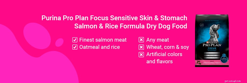 Best Dog Food to Relieve Diarrhea & Loose Stools