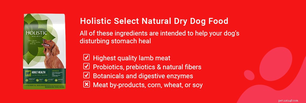 Best Dog Food to Relieve Diarrhea & Loose Stools