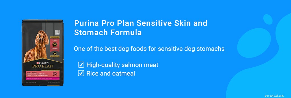 Best Dog Food to Relieve Diarrhea & Loose Stools