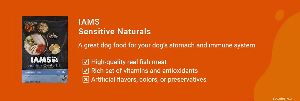 Best Dog Food to Relieve Diarrhea & Loose Stools