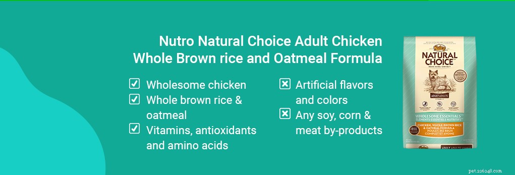Best Dog Food to Relieve Diarrhea & Loose Stools