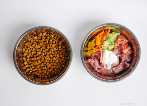 Grain-Free Dog Food: What You Need to Know for Your Pet s Health