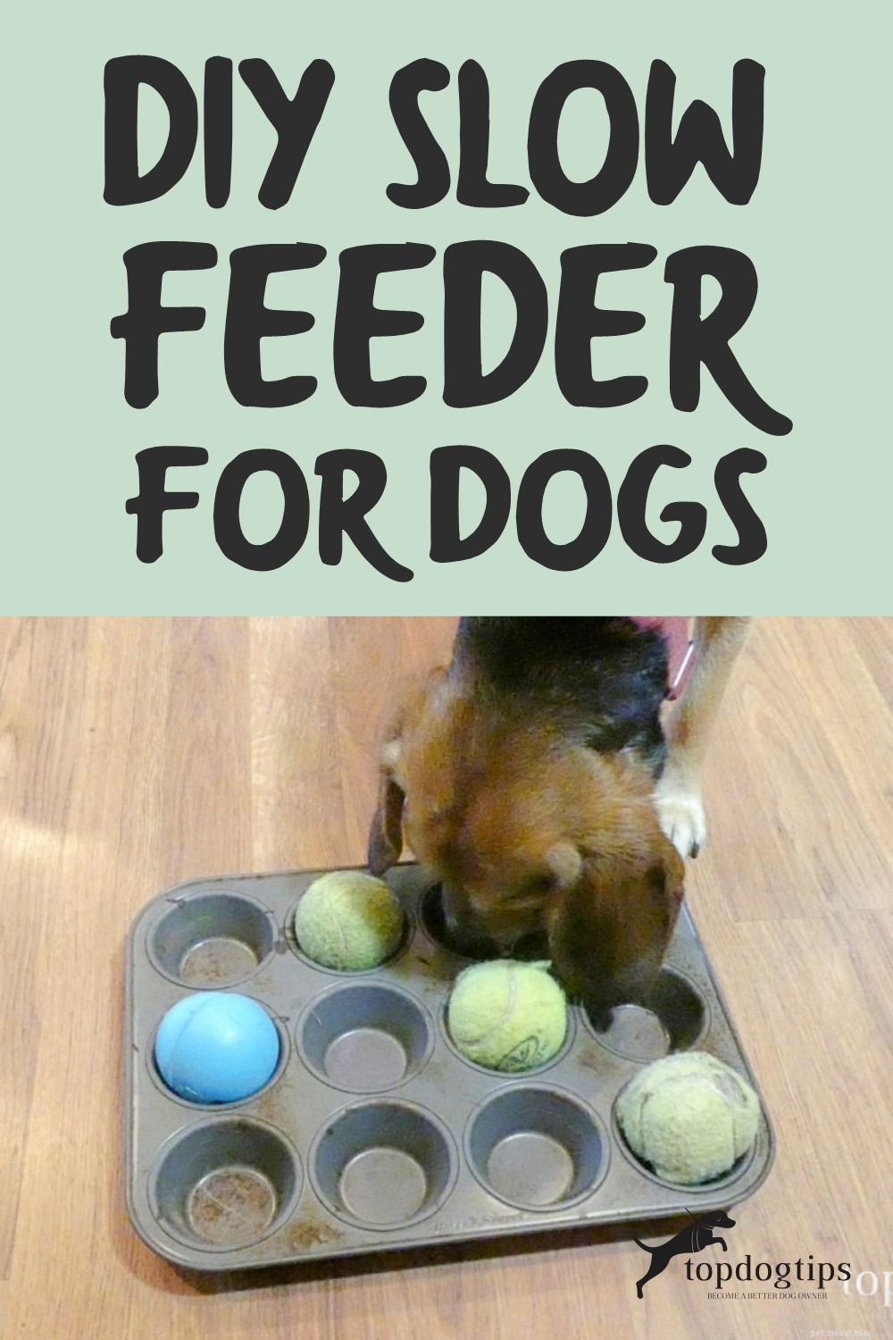 DIY Slow-Feeder: Keep Your Dog Healthy & Happy