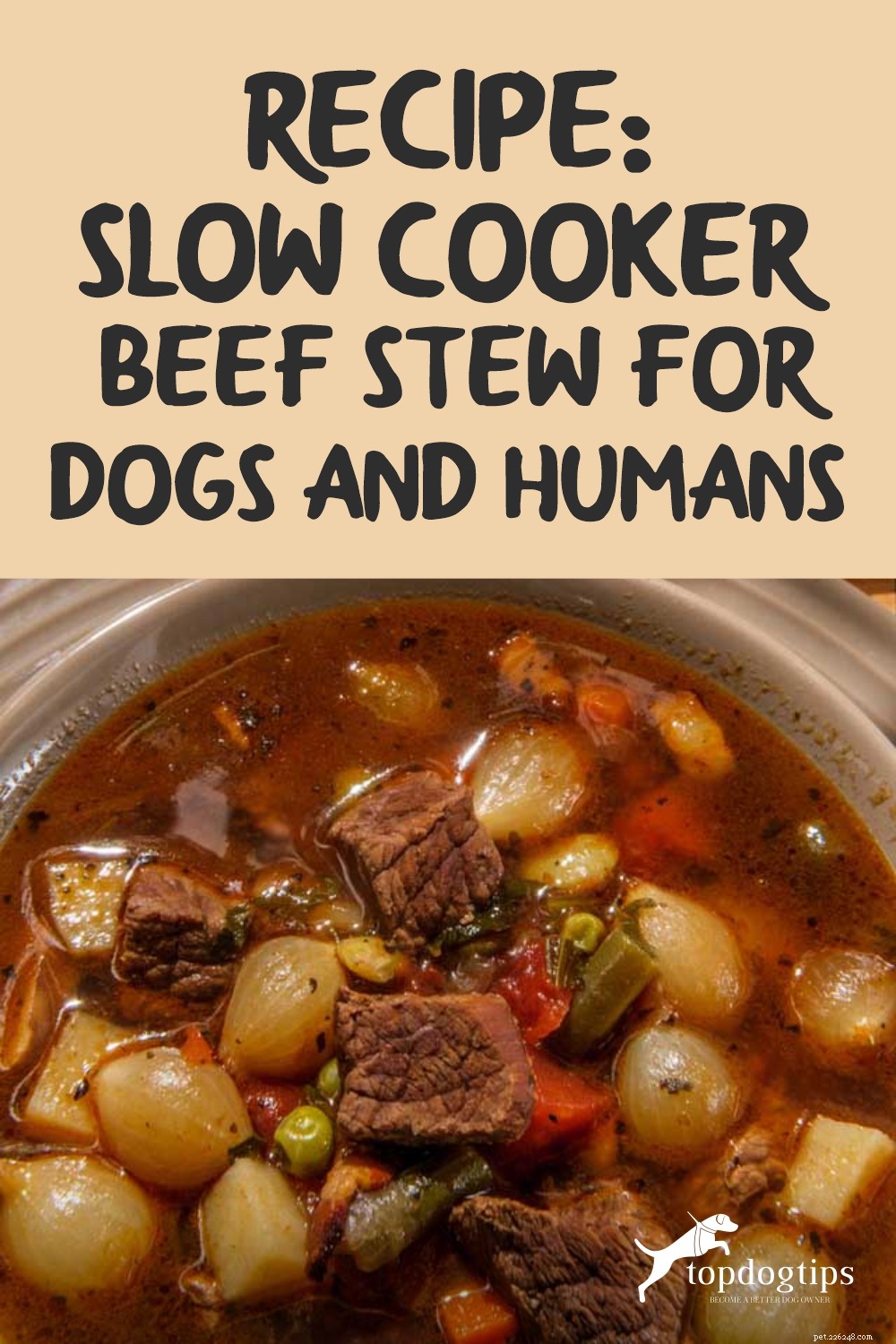 Slow Cooker Beef Stew: A Nutritious, Human‑Grade Recipe for Dogs & Humans