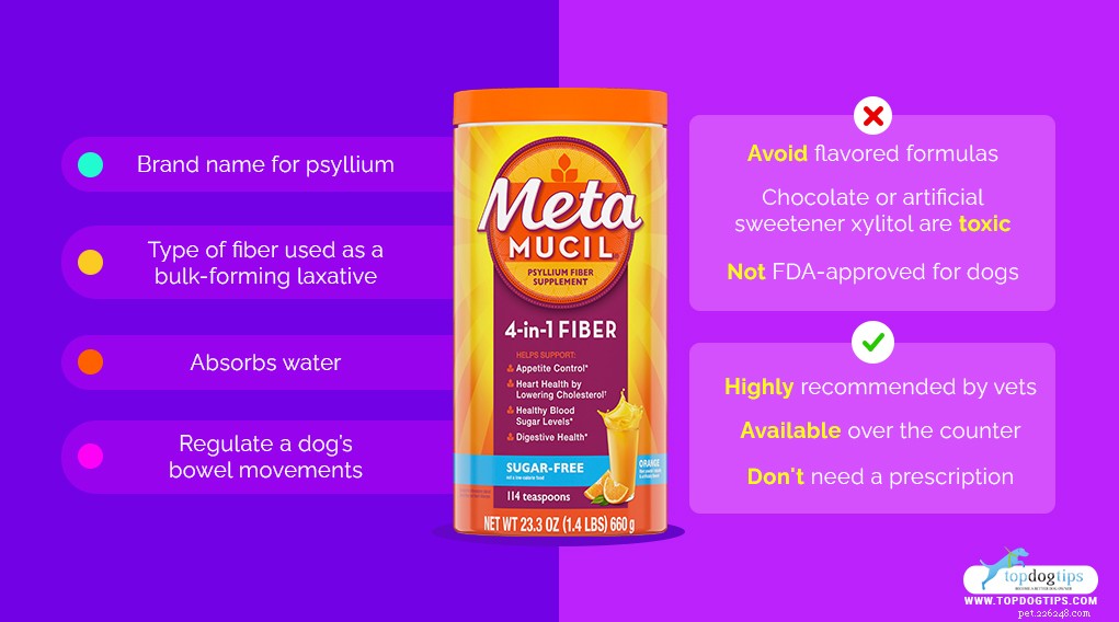 Metamucil for Dogs: How Safe Is It? Benefits, Uses, and Possible Side Effects