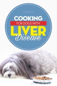 Expert Guide to Feeding Dogs with Liver Disease