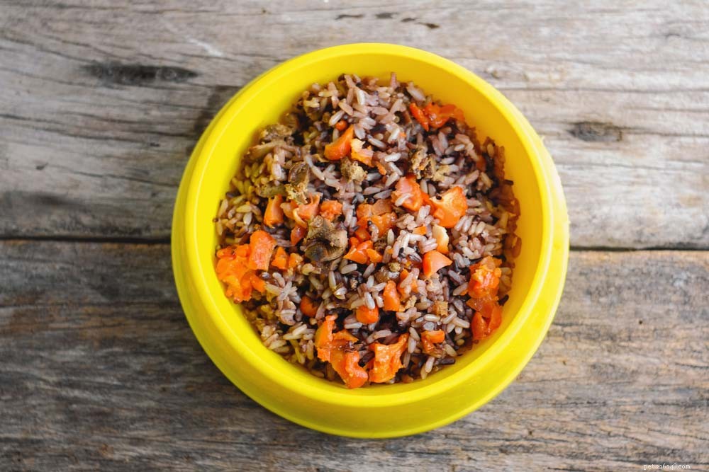 Expert Guide to Feeding Dogs with Liver Disease