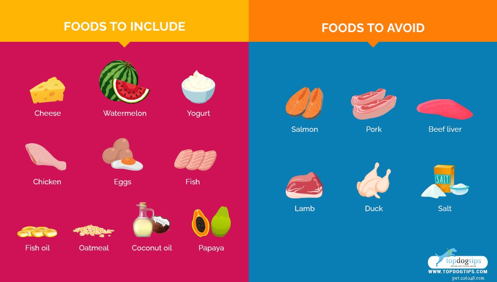 Expert Guide to Feeding Dogs with Liver Disease