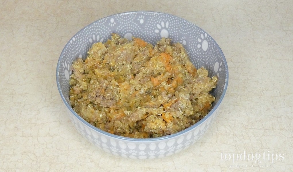Healthy Homemade Dog Food Recipes for Optimal Nutrition