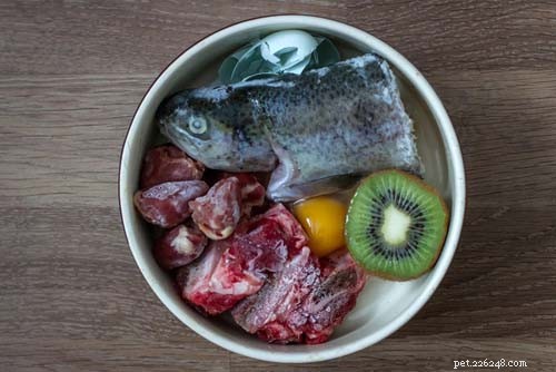 Optimal Renal Diet for Dogs: Expert Feeding Guide