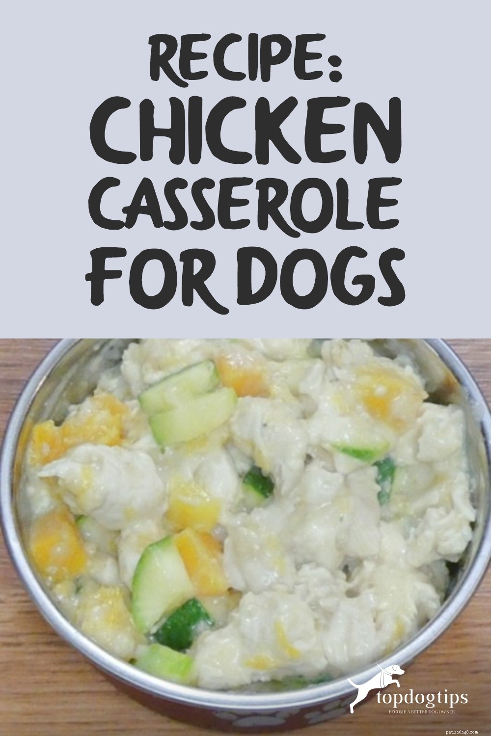 Homemade Chicken Casserole for Dogs – Simple, Nutritious, Budget-Friendly