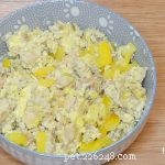 Dog-Friendly Fish & Veggie Omelette: A Simple, Nutritious Protein Boost