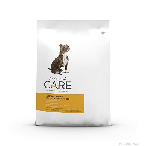 Top 40 Sensitive‑Stomach Dog Foods: Expert‑Recommended Choices