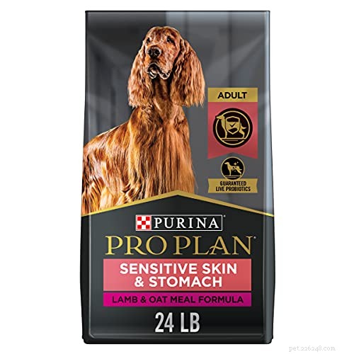 Top 40 Sensitive‑Stomach Dog Foods: Expert‑Recommended Choices