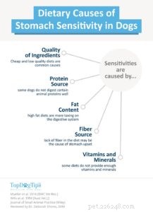Top 40 Sensitive‑Stomach Dog Foods: Expert‑Recommended Choices