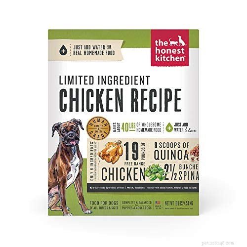 Top 40 Sensitive‑Stomach Dog Foods: Expert‑Recommended Choices